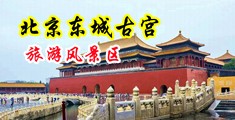 看国产大骚逼视频中国北京-东城古宫旅游风景区